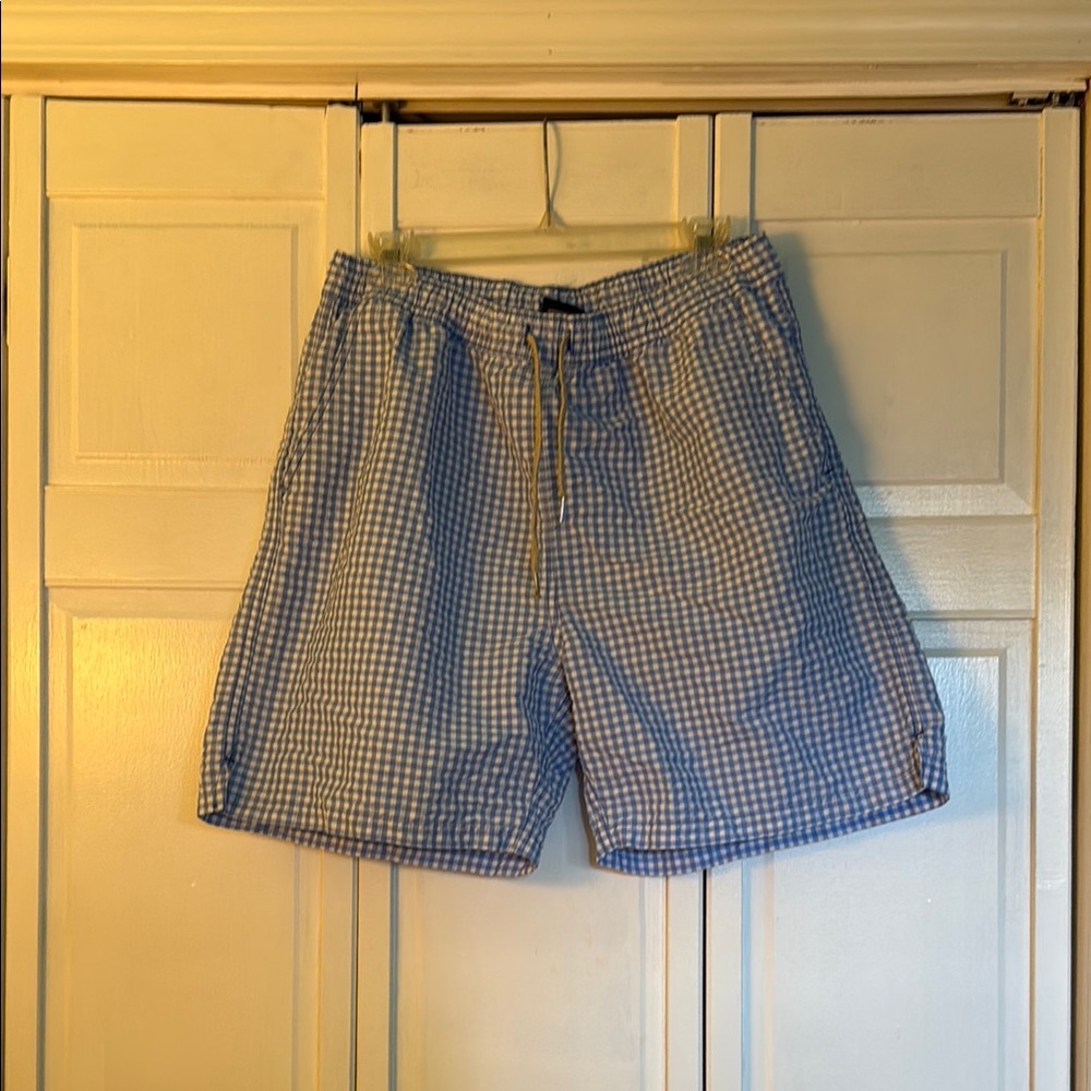 Blue and White Checkered Shorts